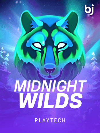 Midnight Wilds